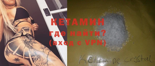 шишки Горняк