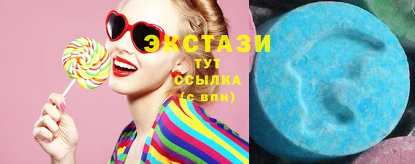 шишки Горняк