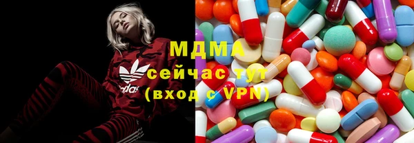 шишки Горняк