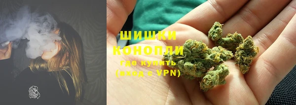 шишки Горняк