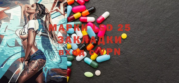 шишки Горняк