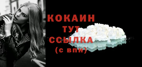 2c-b Горно-Алтайск