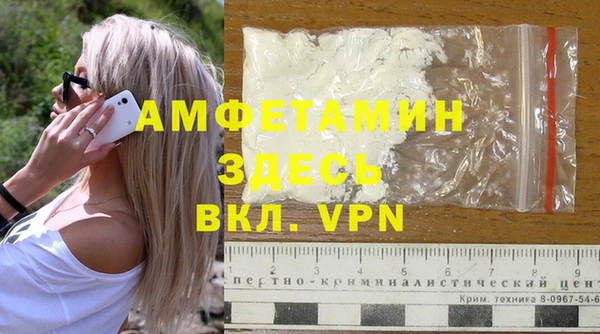 шишки Горняк