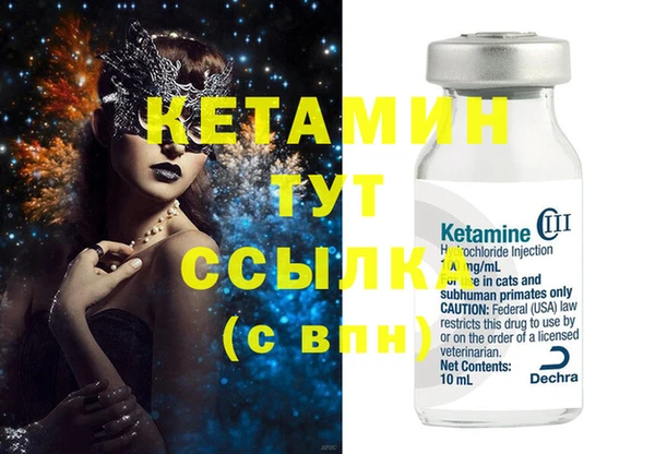 шишки Горняк