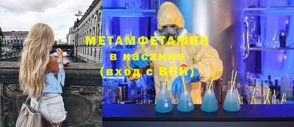 шишки Горняк