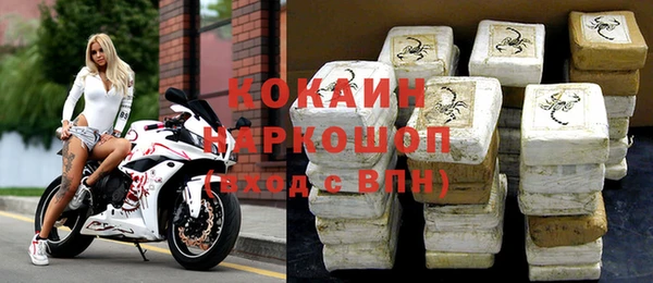 шишки Горняк