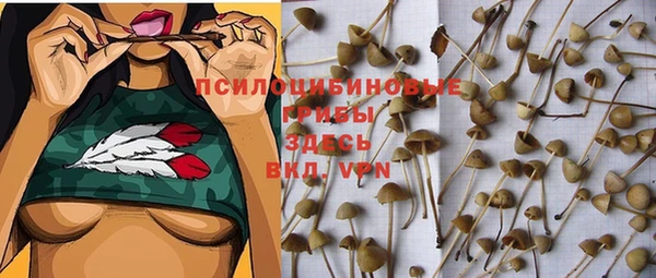 2c-b Горно-Алтайск