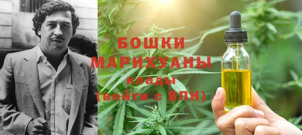 2c-b Горно-Алтайск