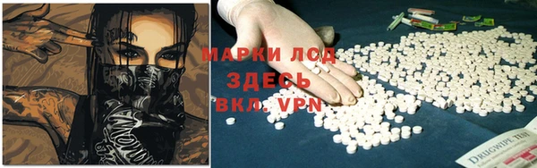 шишки Горняк