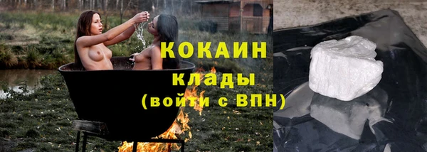шишки Горняк