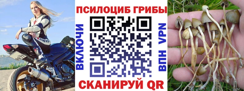 Псилоцибиновые грибы Magic Shrooms  Москва 